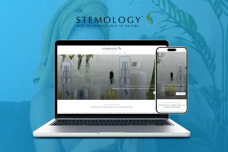 stemology professional web design services